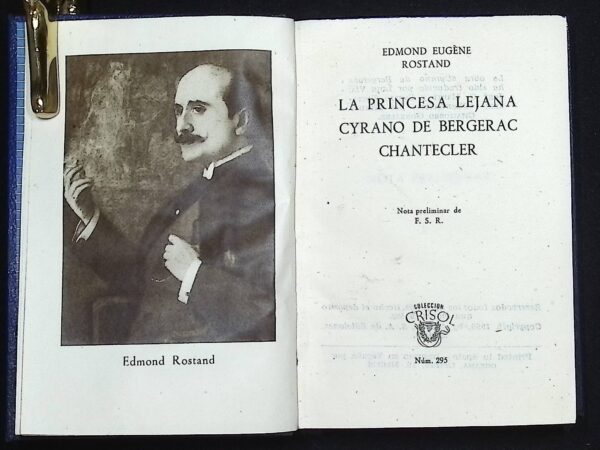 LA PRINCESA LEJANA