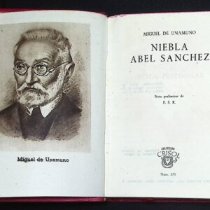 NIEBLA ABEL SANCHEZ