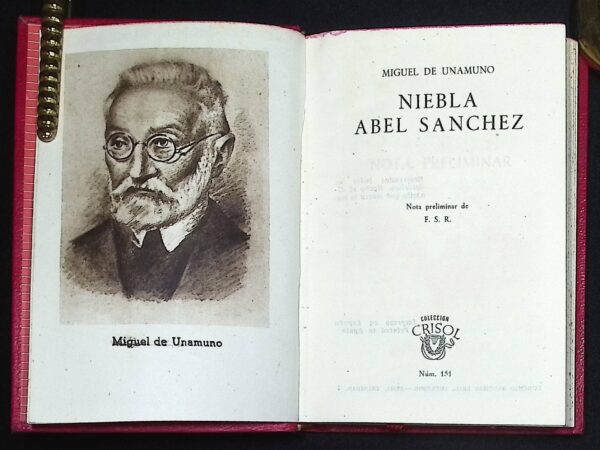 NIEBLA ABEL SANCHEZ