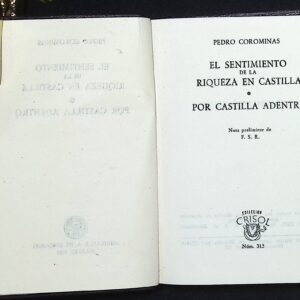 EL SENTIMIENTO DE LA RIQUEZA EN CASTILLA