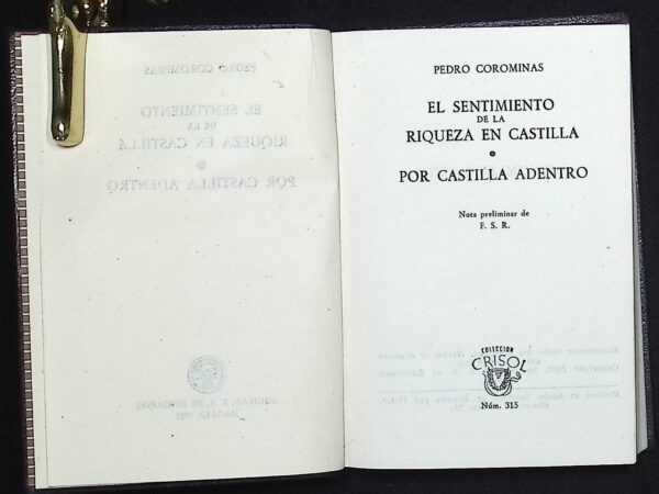 EL SENTIMIENTO DE LA RIQUEZA EN CASTILLA