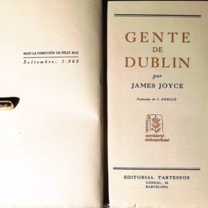 GENTE DE DUBLIN